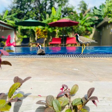 The Kingslayer Resort Negombo Kültér fotó