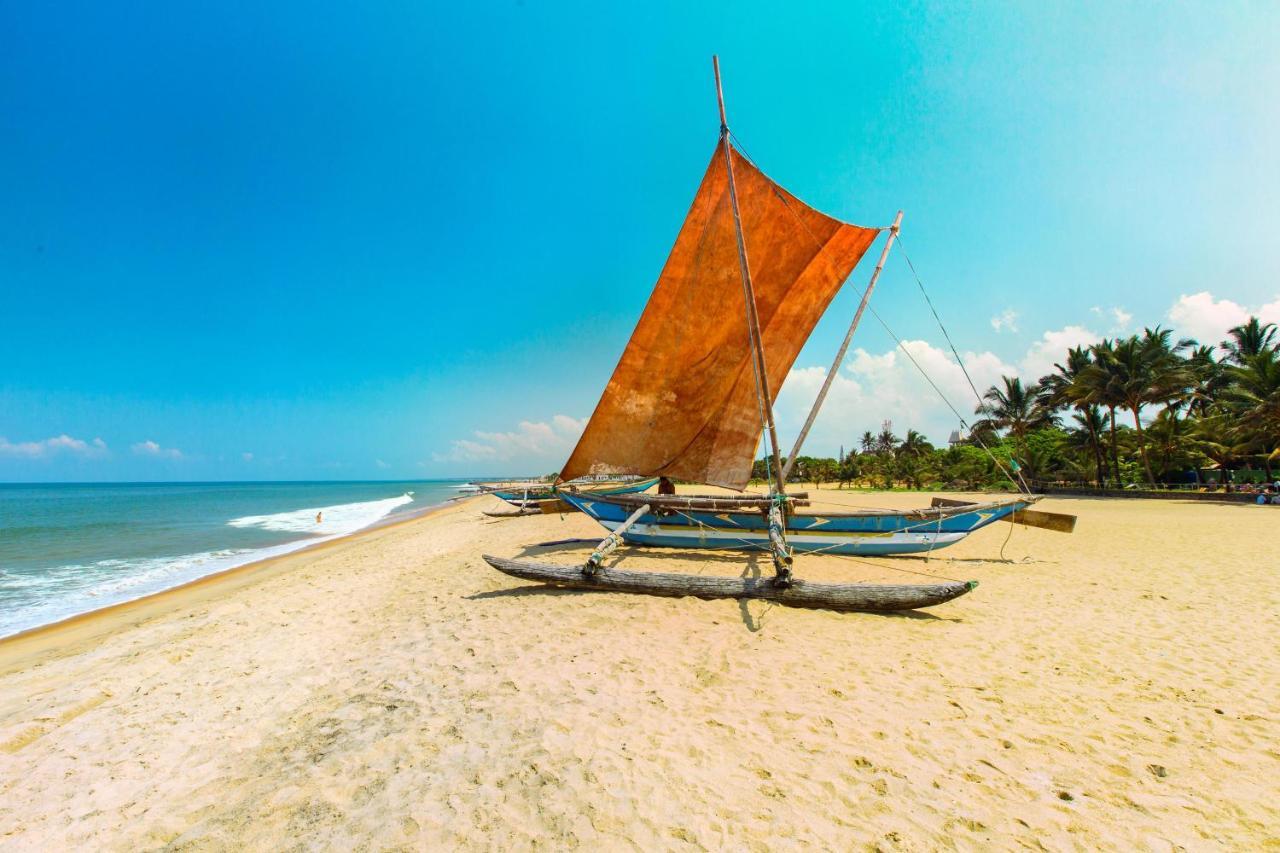 The Kingslayer Resort Negombo Kültér fotó